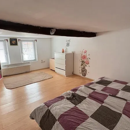 Lägenhet Panda2 Charmante, Familien Im Panda-stil Bad Hersfeld