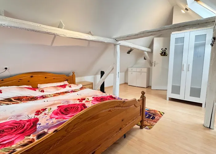 Panda2 Charmante, Familien Im Panda-stil * Bad Hersfeld